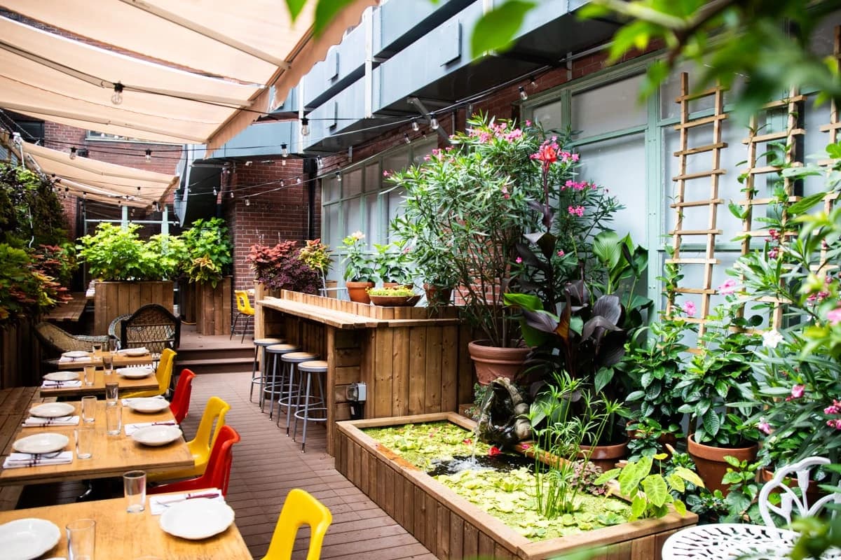 Papito – terrasse extérieure à Centre-ville, Montréal